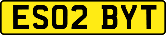 ES02BYT