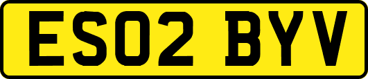 ES02BYV