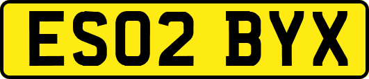 ES02BYX