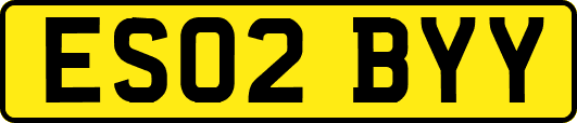 ES02BYY