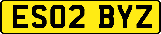 ES02BYZ