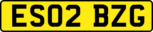ES02BZG