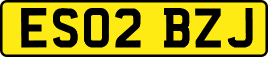 ES02BZJ