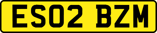 ES02BZM