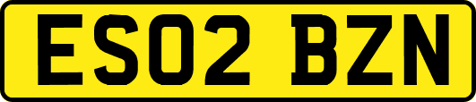 ES02BZN