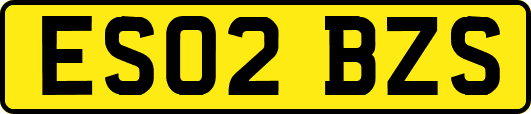 ES02BZS
