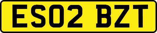 ES02BZT