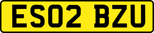 ES02BZU