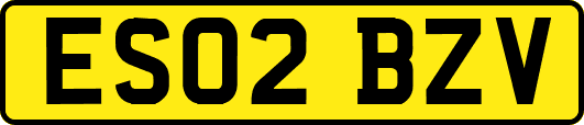 ES02BZV
