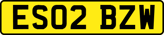 ES02BZW