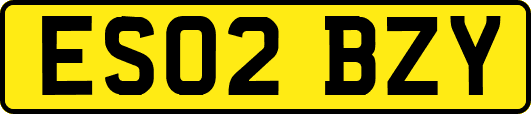 ES02BZY