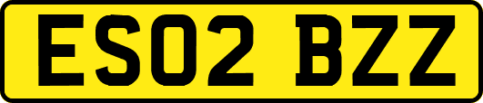 ES02BZZ