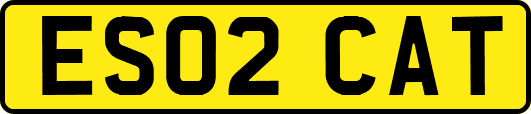 ES02CAT