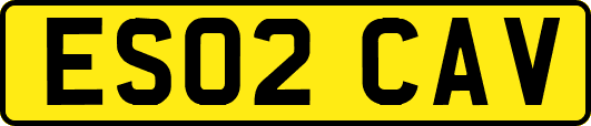 ES02CAV
