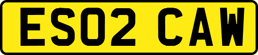 ES02CAW
