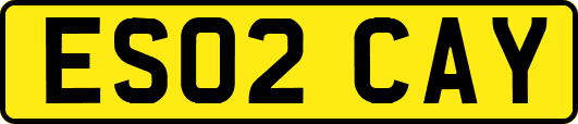 ES02CAY