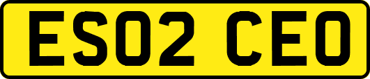 ES02CEO