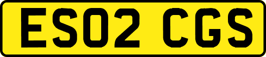 ES02CGS
