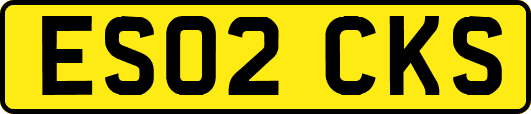 ES02CKS