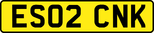 ES02CNK