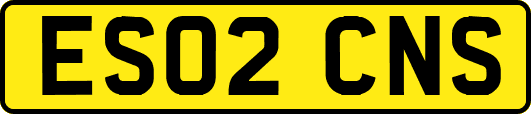 ES02CNS