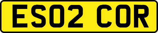 ES02COR