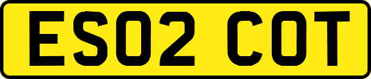 ES02COT