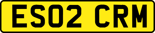 ES02CRM