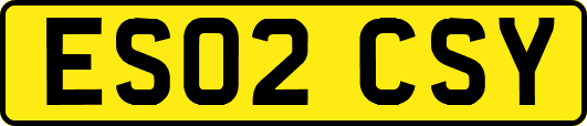 ES02CSY
