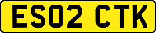 ES02CTK