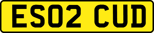 ES02CUD