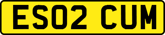 ES02CUM