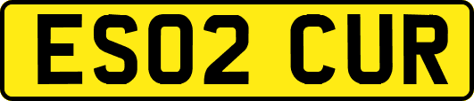 ES02CUR