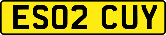 ES02CUY
