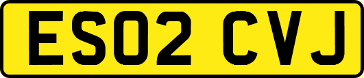 ES02CVJ