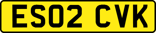 ES02CVK