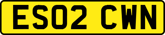 ES02CWN