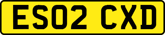 ES02CXD