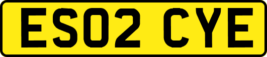 ES02CYE