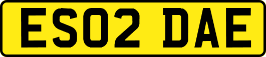 ES02DAE