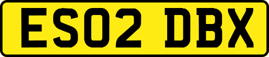 ES02DBX