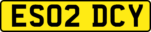 ES02DCY