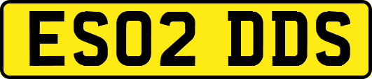 ES02DDS