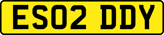 ES02DDY