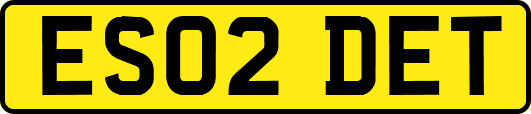 ES02DET