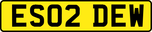 ES02DEW
