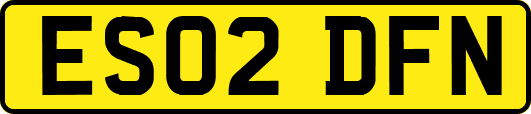 ES02DFN