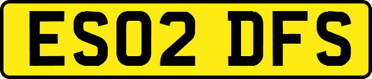 ES02DFS