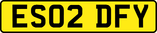 ES02DFY