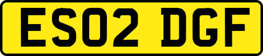 ES02DGF